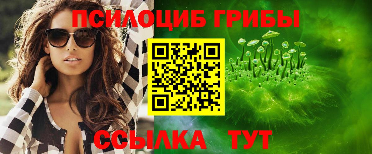 Псилоцибиновые грибы Cubensis  Вход с VPN  Холмск 